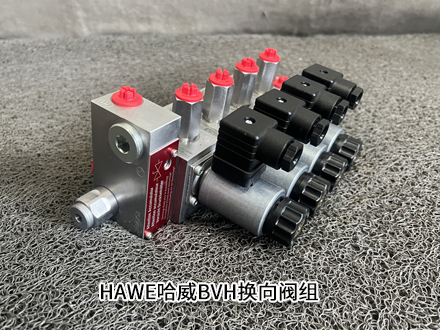 哈威BVH 11F/GM/B04/2ABR 04E-GM24 哈威BVH 11F/GM/B04/2ABR 04E-GM24